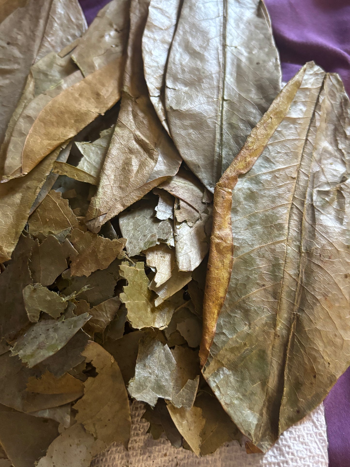 Guarina™ Soursop Tea